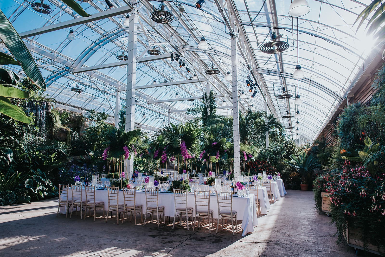 Sadie + Rene // RHS Wisley